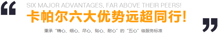 離子風(fēng)蛇廠家直銷
